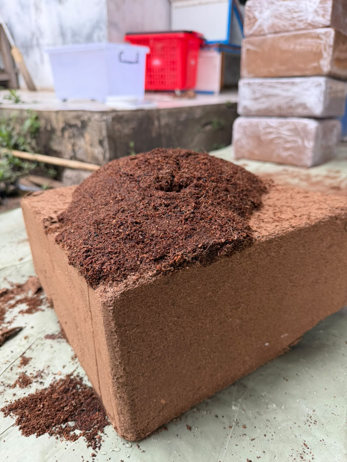 EC testing of cocopeat sample