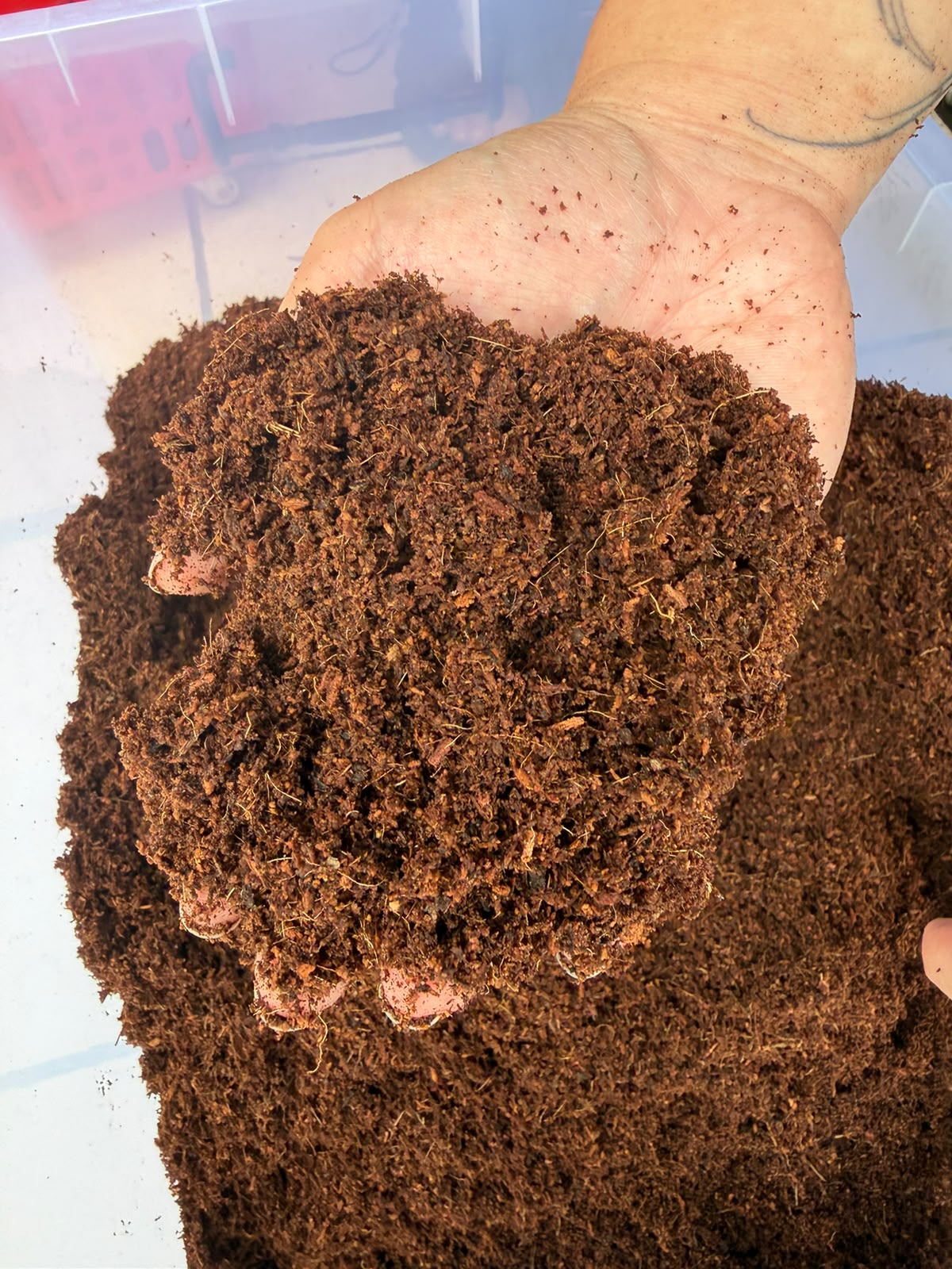 pH testing of cocopeat sample